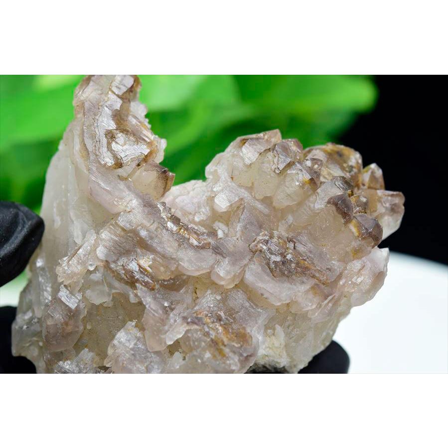 スモーキー アリゲータークォーツ (約307g) ジャカレー水晶 ブラジル ミナスジェライス州 アラスアイ産 ブラジル産 エレスチャル ワニ水晶 ジャカレー_3