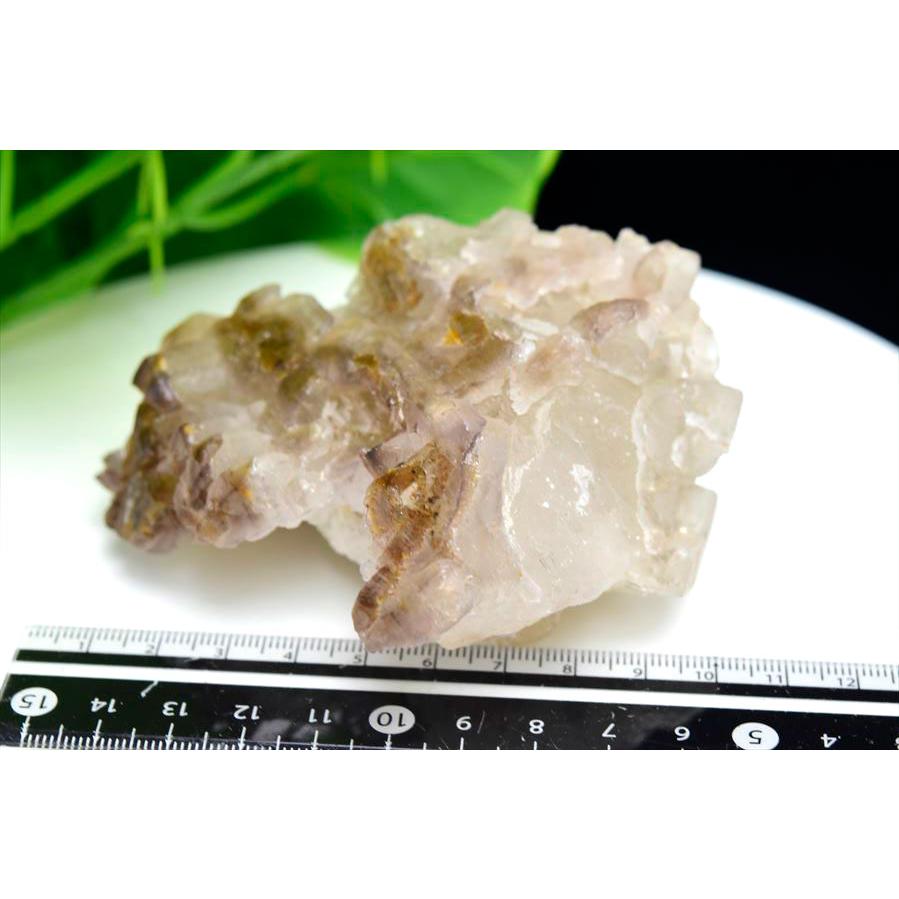 スモーキー アリゲータークォーツ (約307g) ジャカレー水晶 ブラジル ミナスジェライス州 アラスアイ産 ブラジル産 エレスチャル ワニ水晶 ジャカレー_4