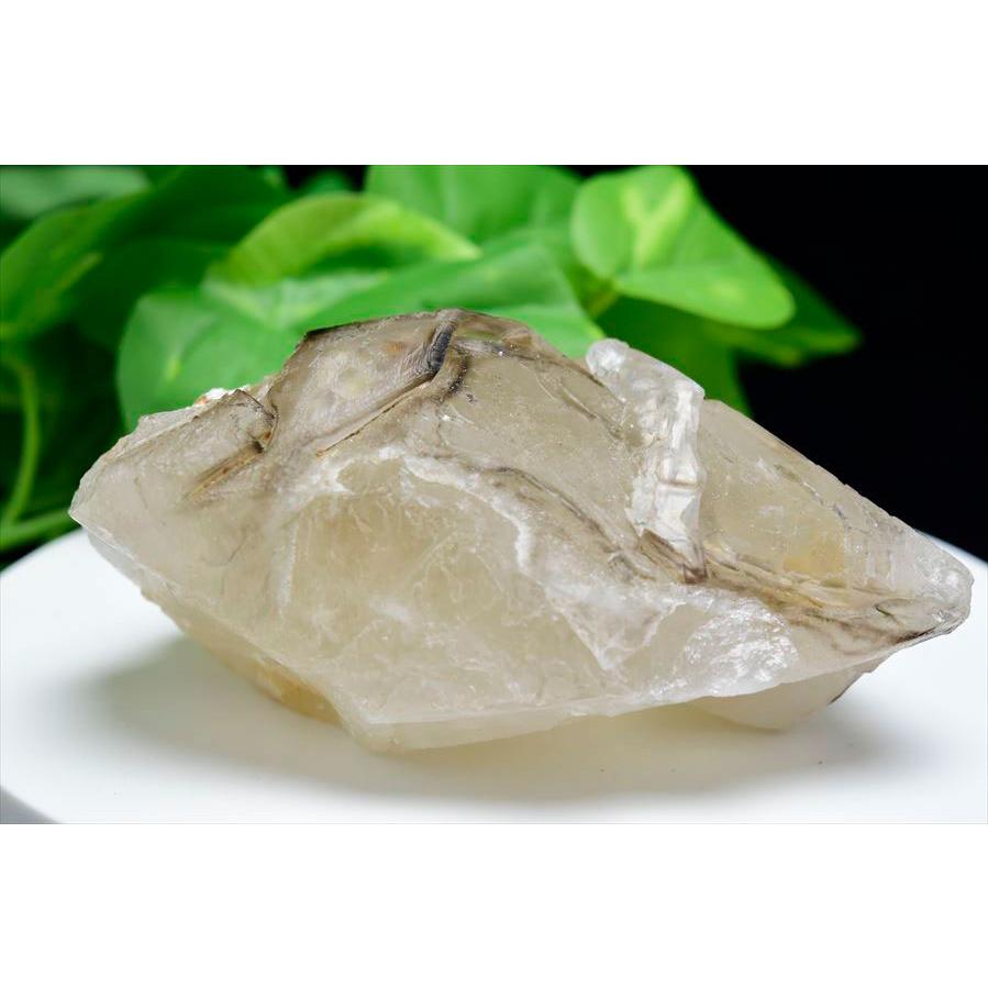 スモーキー アリゲータークォーツ (約909.5g) ジャカレー水晶 ブラジル ミナスジェライス州 アラスアイ産 ブラジル産 エレスチャル ワニ水晶 ジャカレー_1