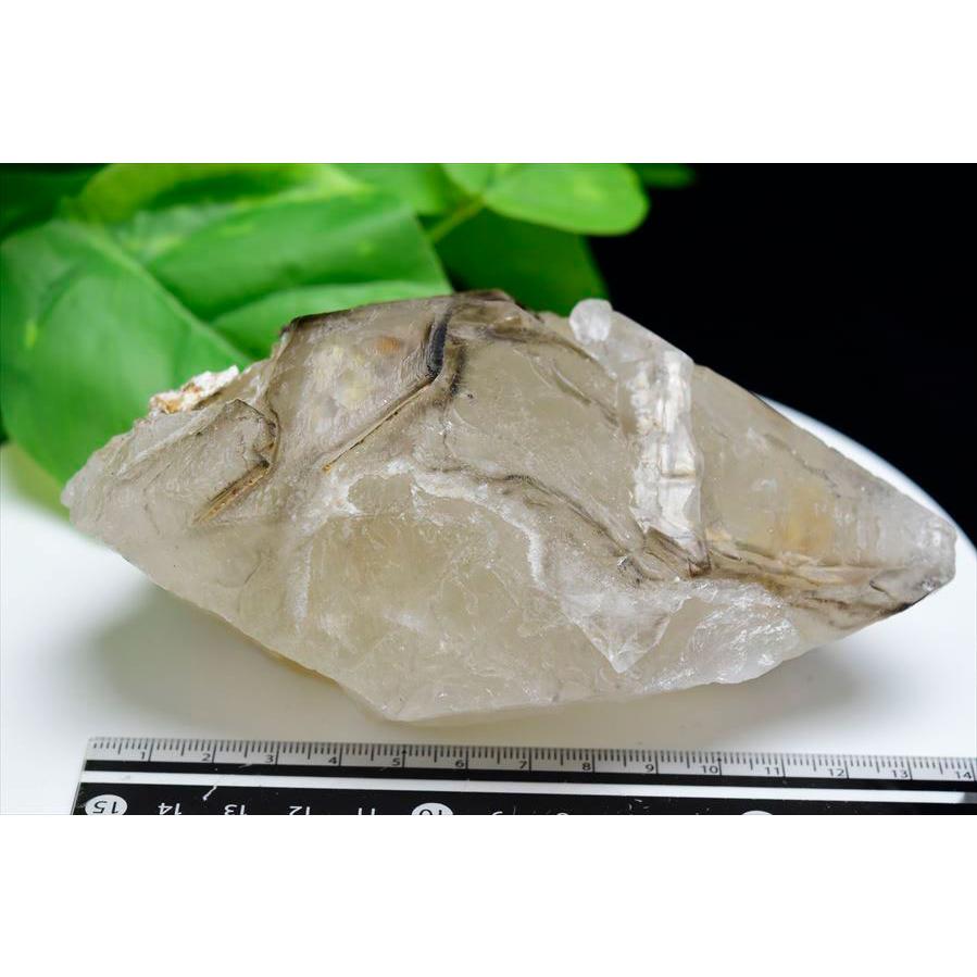 スモーキー アリゲータークォーツ (約909.5g) ジャカレー水晶 ブラジル ミナスジェライス州 アラスアイ産 ブラジル産 エレスチャル ワニ水晶 ジャカレー_4