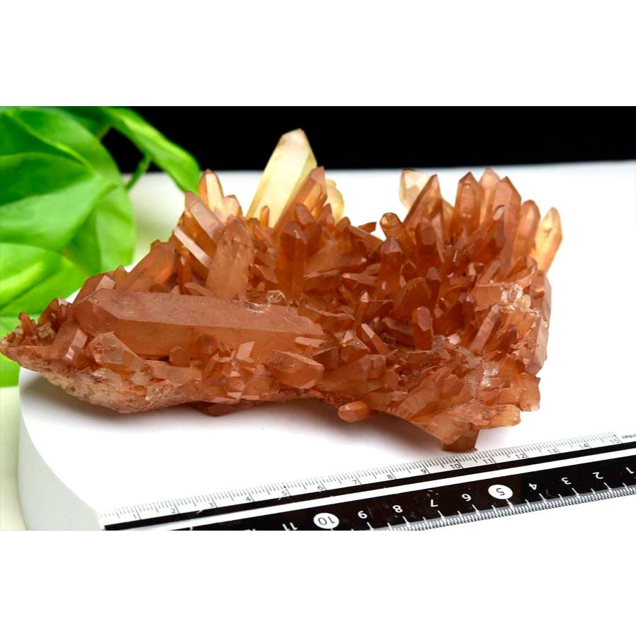 タンジェリンクォーツ 水晶 クラスター 原石 EXグレード (約665g