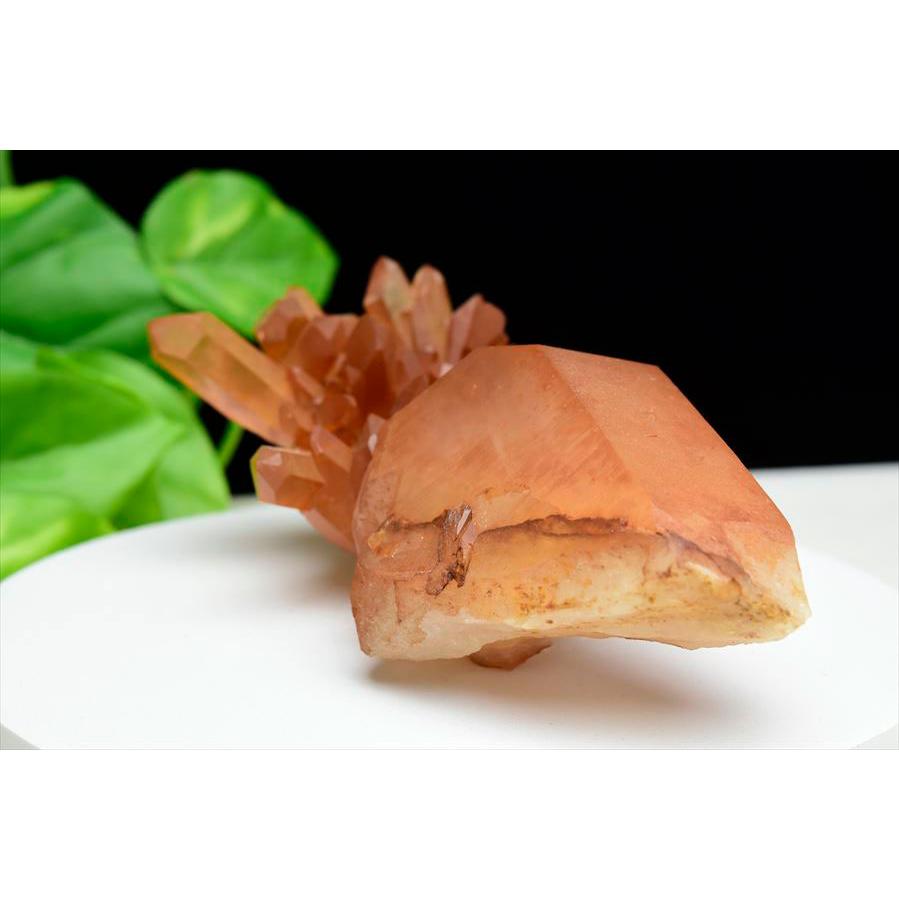 タンジェリンクォーツ 水晶 クラスター 原石 EXグレード (約576g