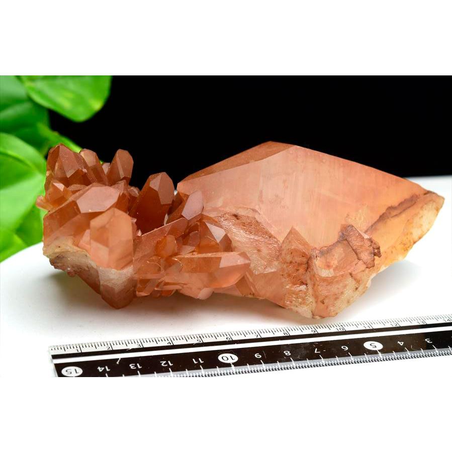 タンジェリンクォーツ 水晶 クラスター 原石 EXグレード (約576g