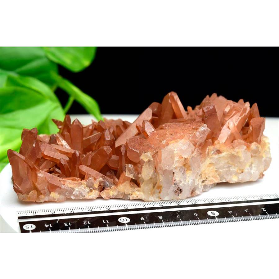 タンジェリンクォーツ 水晶 クラスター 原石 EXグレード (約610.5g) ブラジル コリント産 ブラジル産 コリント産 蜜柑水晶 tangerine 群晶 コリント_5