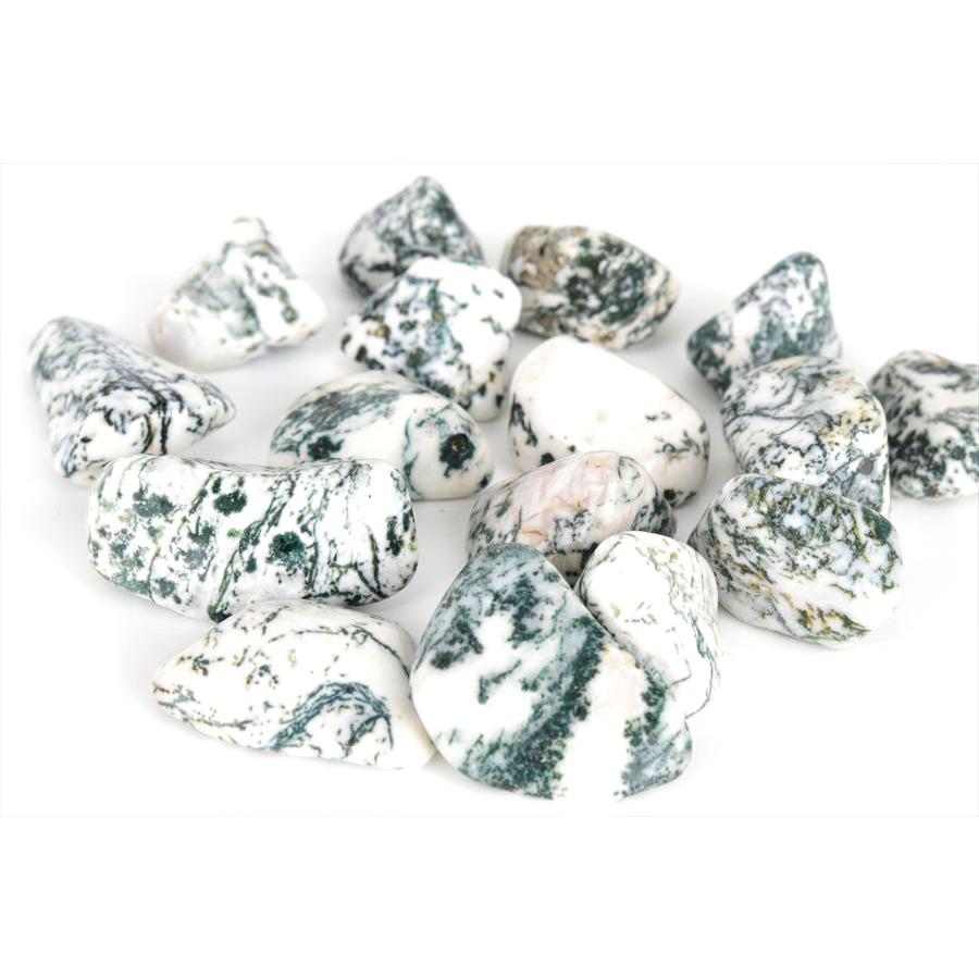 ツリーアゲート タンブル 磨き石 単品販売 インド産 天然石