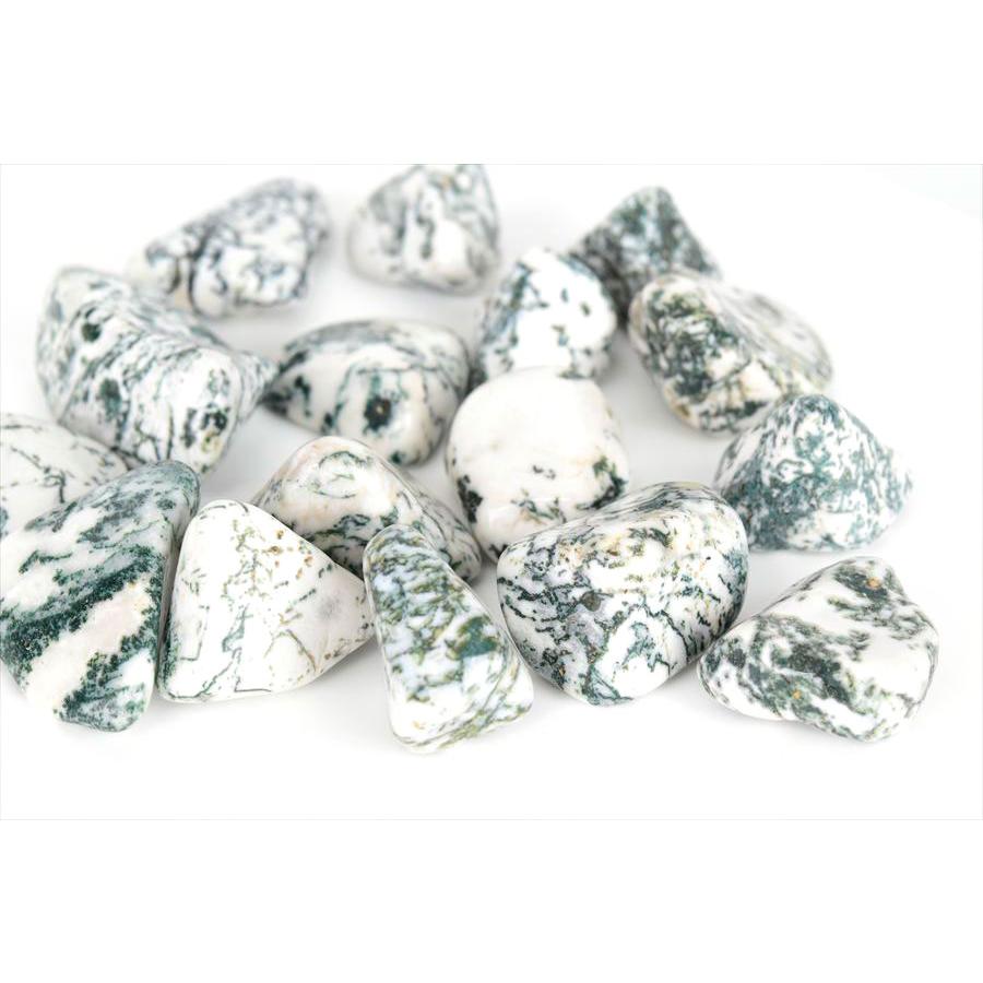 ツリーアゲート タンブル 磨き石 単品販売 インド産 天然石