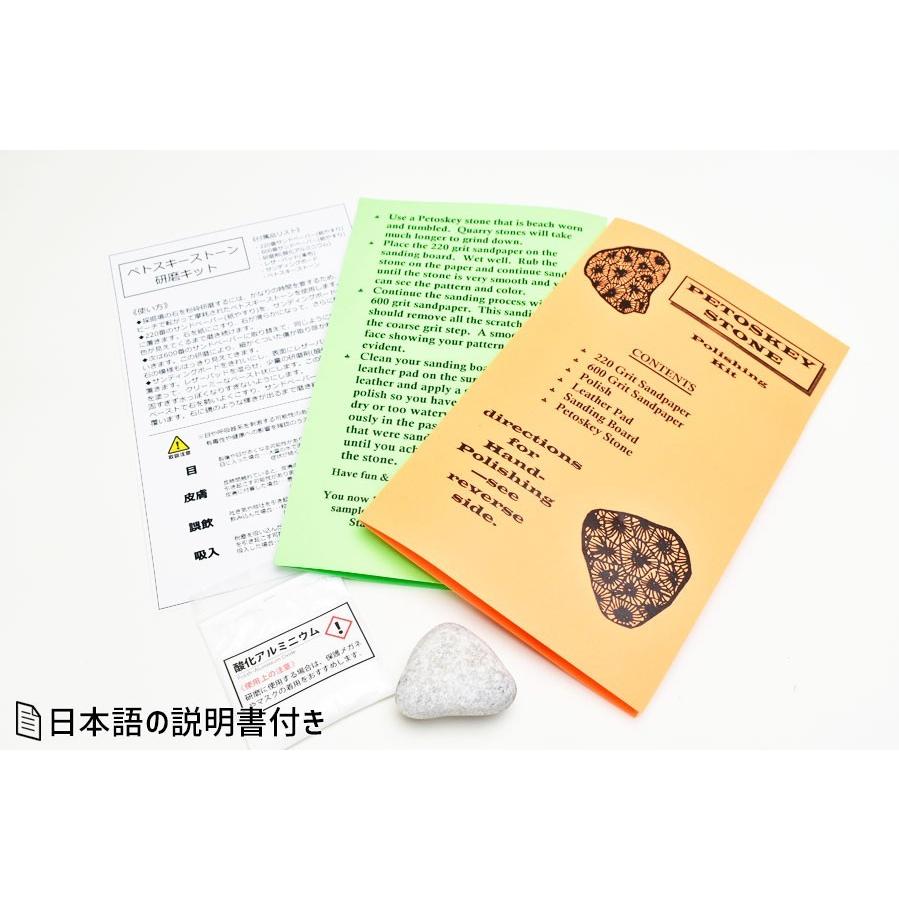 ペトスキーストーン フォッシルコーラル 磨きキット 日本語説明書付き アメリカ ミシガン州産 珊瑚の化石 握り石 珊瑚 天然石 パワーストーン T136 厳選天然石専門店 Upstone Onbir 通販 Yahoo ショッピング