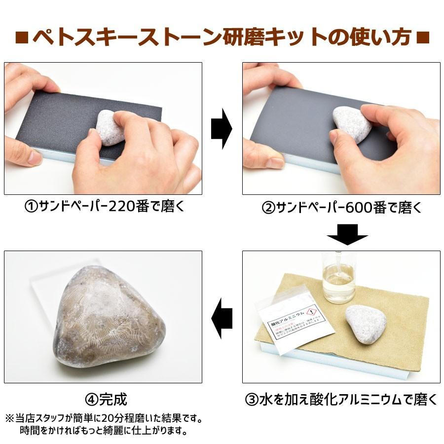 ペトスキーストーン フォッシルコーラル 磨きキット 日本語説明書付き アメリカ ミシガン州産 珊瑚の化石 握り石 珊瑚 天然石 パワーストーン T136 厳選天然石専門店 Upstone Onbir 通販 Yahoo ショッピング