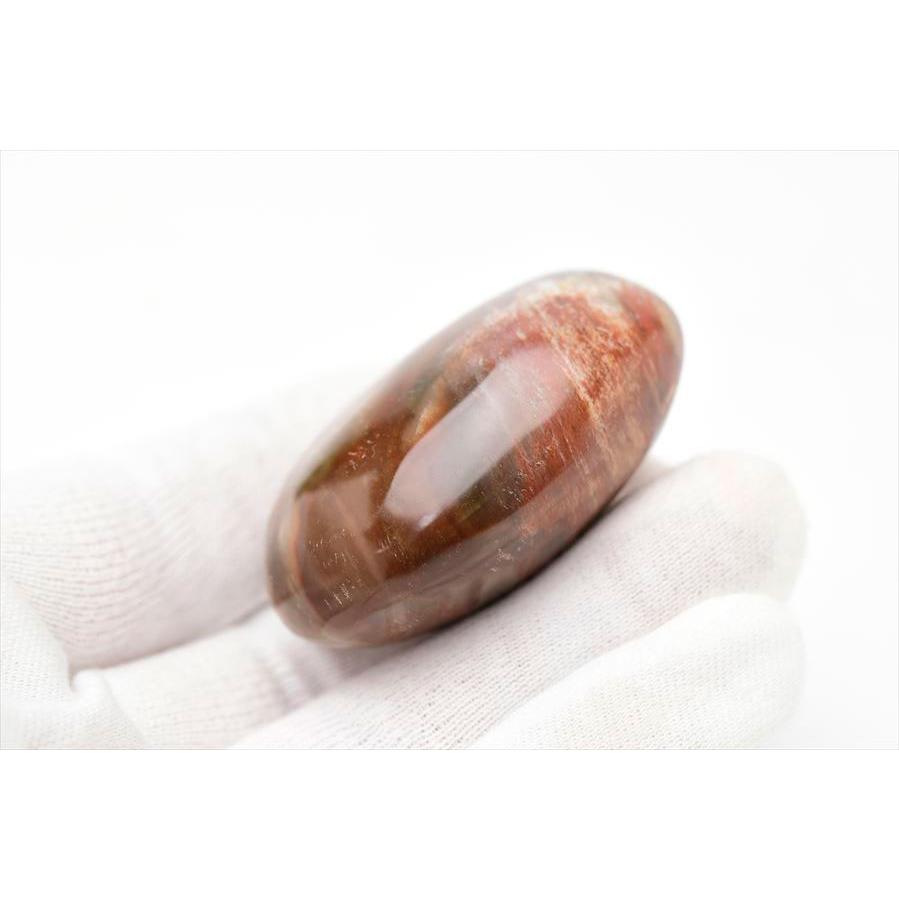 ペトリファイドウッド 珪化木 パームストーン 握り石 (約81.8g