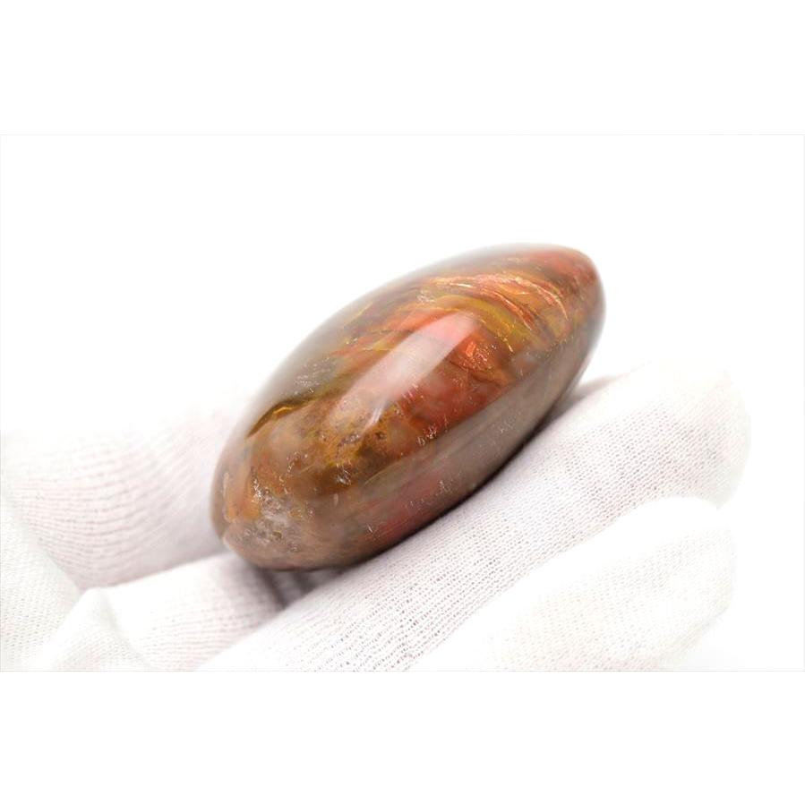 ペトリファイドウッド 珪化木 パームストーン 握り石 (約81.8g