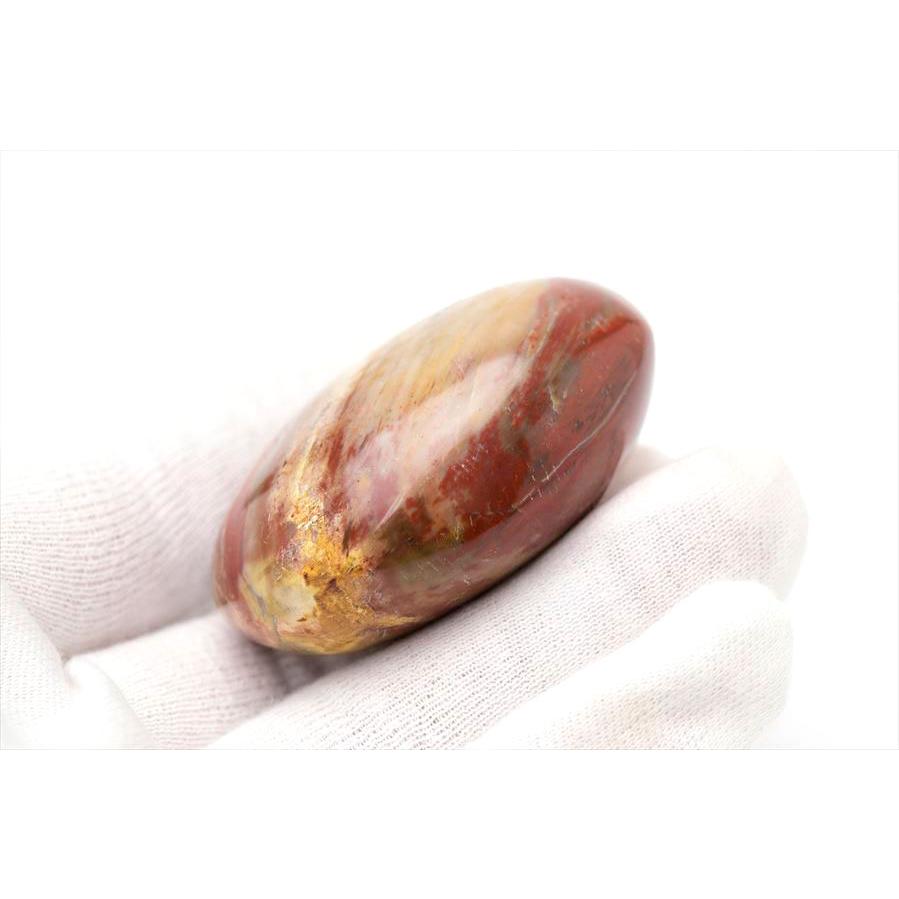 ペトリファイド ウッド パー握り石 珪化木 マダガスカル産 ペトリファイドウッド 珪化木 パームストーン 握り石 (約85.5g