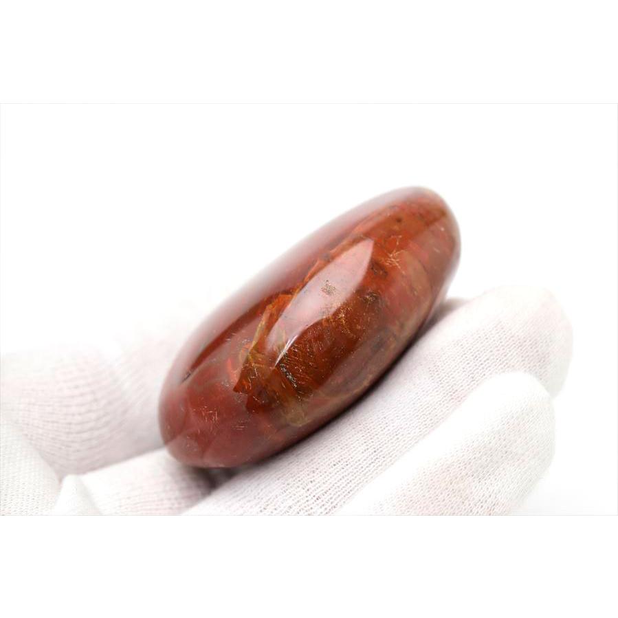 ペトリファイド ウッド パーム 握り石 マダガスカル産 楽天市場】ペトリファイドウッド 珪化木 パームストーン 握り石