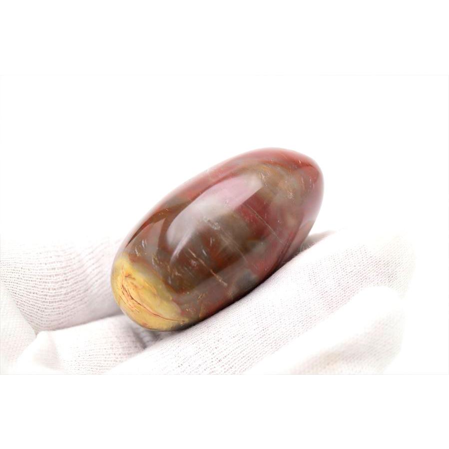 ペトリファイドウッド 珪化木 パームストーン 握り石 (約72.5g