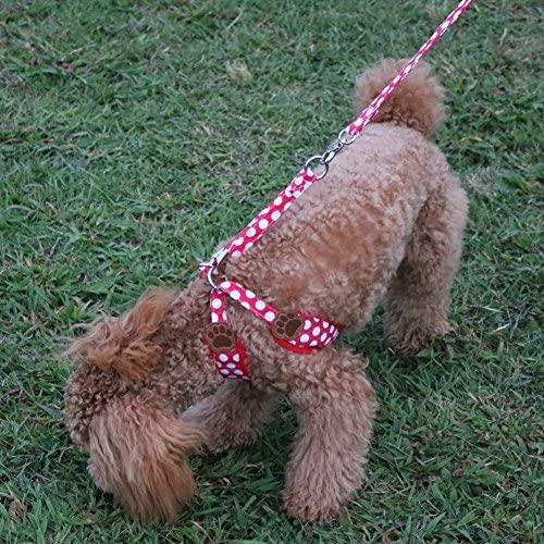 Rant Bell ラント ベル 小型犬 ハーネス リード セット ドット柄 かわいい 肉球 赤 L 赤 L Upd Uag24d4ea Up To Date 通販 Yahoo ショッピング