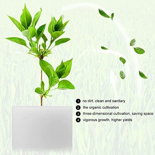 50個入り水耕栽培スポンジ 水耕栽培 土壌なし 種子植物 植物 保育園 植え スポンジ 除草ツール ソアレス 44 30mm 44 30mm Upd Ujl08u1gf Up To Date 通販 Yahoo ショッピング