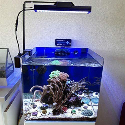新しい調光海水 サンゴ 水槽用照明観賞魚飼育礁の珊瑚sps Lpsの魚飼育用の水槽ライトをつけることを導きましたshannon40 Upd Usp30h0hd Up To Date 通販 Yahoo ショッピング