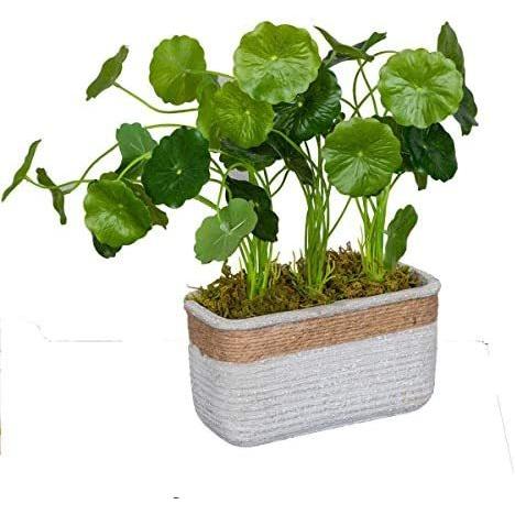 Ferrisland 鉢植え造花 人工観葉植物 インテリア 飾り 人工 フェイク グリーン 簡単世話いらず 水やり不要 インテリア おしゃれ グリーン Upd Vja02t3fh Up To Date 通販 Yahoo ショッピング