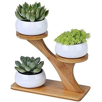 多肉植物ポット 多肉植物鉢 陶器鉢 陶器鉢 多肉植物用 竹スタンド付き ガーデニング飾り No 2 No 2 Upd Vja03v5id Up To Date 通販 Yahoo ショッピング