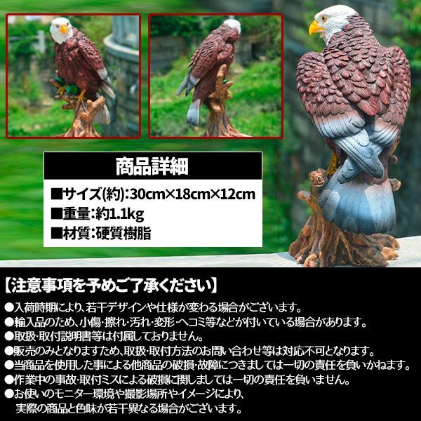 リアルイーグル 鷹 鷲 タカ ワシ 置物 大迫力 効果絶大 30cm 鳥よけ カラス スズメ ハト 害鳥 オブジェ ムクドリ ホーク｜upa-st｜04