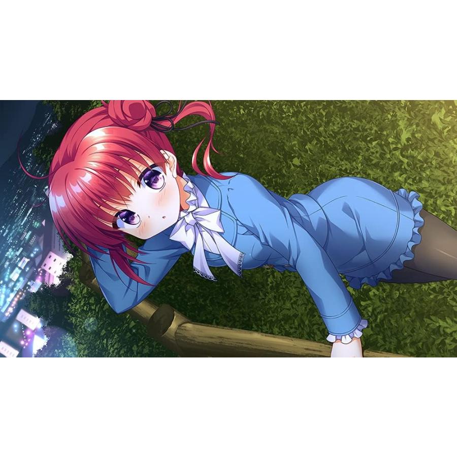 Nintendo Switch 【新品】NSW ガラス姫と鏡の従者 : アップYahoo!店