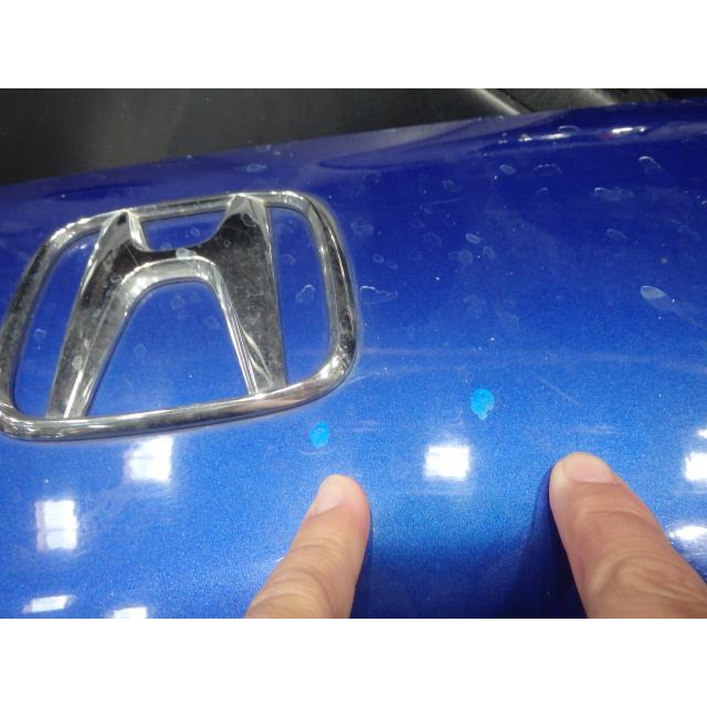 バモスホビオ ABA-HM3 フードパネル ボンネット L E07Z B550P 60100