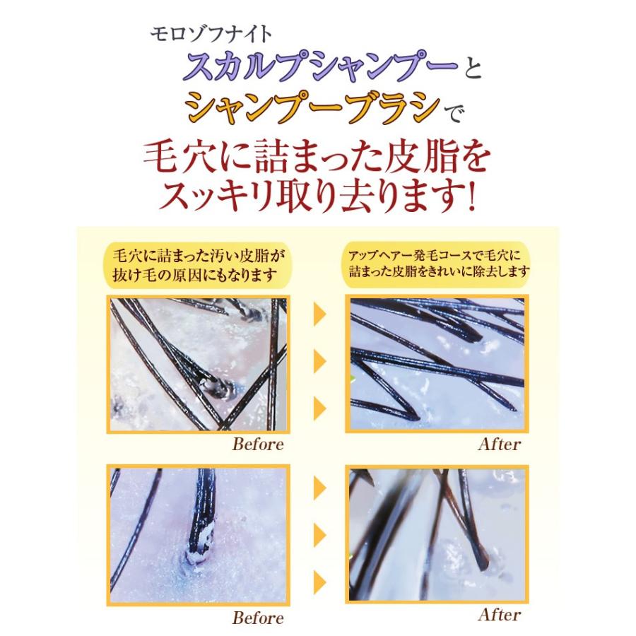 モロゾフナイト スカルプシャンプー ビオ／頭皮 毛穴 男性用女性用 ノンシリコン 無添加 スカルプ シャンプー |  | 09