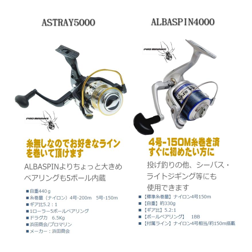 振出 サーフセット 投げ釣りセット 投げ竿4.2m 5000 or 4000 振出 サーフセット 投げ釣りセット 投げ竿4.2m 5000 or 4000