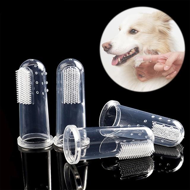 犬用 歯ブラシ 指サック 10個セット 口臭 はみがき 歯磨き 病気 予防 Uple 01 アップル アンジェリカ 通販 Yahoo ショッピング
