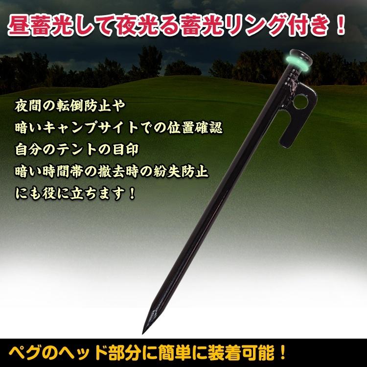 ステンレス製ペグ4本セット ペグ 釘 杭 20cm アウトドア キャンプ  タープ  固定 おうちキャンプ ベランピング 軽量 コンパクト 補強 |  | 06