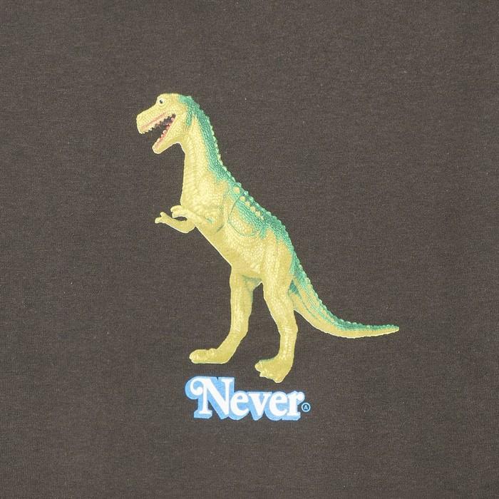 ANTI SOCIAL SOCIAL CLUB アンチソーシャルソーシャルクラブ  Plastic T-Rex Brown Tee アンチソーシャル クラブ STUSSY 半袖 Tシャツ ブランド | ANTI SOCIAL SOCIAL CLUB | 02