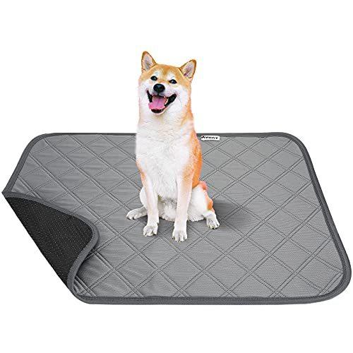 Avont マナーパッド ナプキン 2枚入り 犬用 おしっこパッド 高吸収性 ペットシート ペットシート 滑り止め 防水底付き Avont 犬用 トイレ下敷きマット アッパーグラウンド2号店 A B095kg1lx9 2105