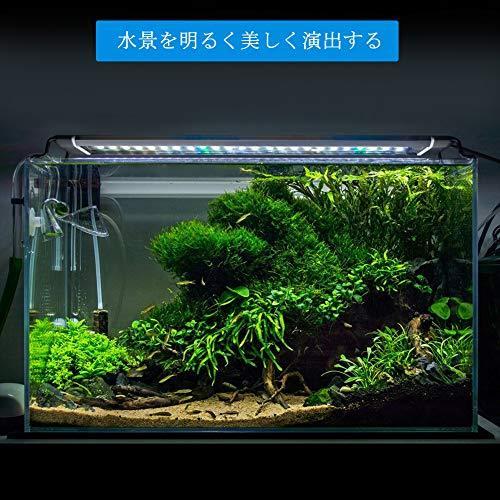 水槽 ライト 水槽ライト60cm 四色 白 赤 青 緑 水槽用照明 アクアリウムライト 45cm水槽用ledライト Zitrades水槽 Led A B07mcvdgfl アッパーグラウンドyahoo 店 通販 Yahoo ショッピング
