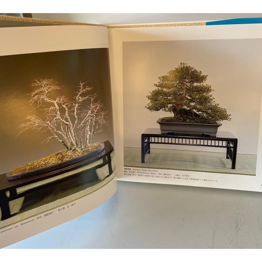 国風盆栽展　第46、48-59、67、70、75回の画像