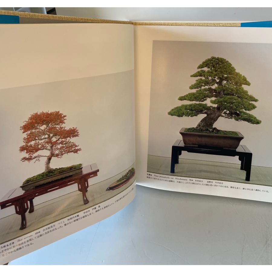 国風盆栽展　第46、48-59、67、70、75回の画像