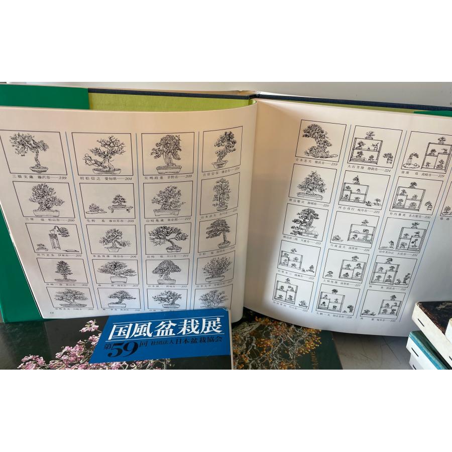 国風盆栽展　第46、48-59、67、70、75回の画像