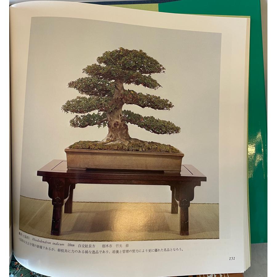 国風盆栽展　第46、48-59、67、70、75回の画像