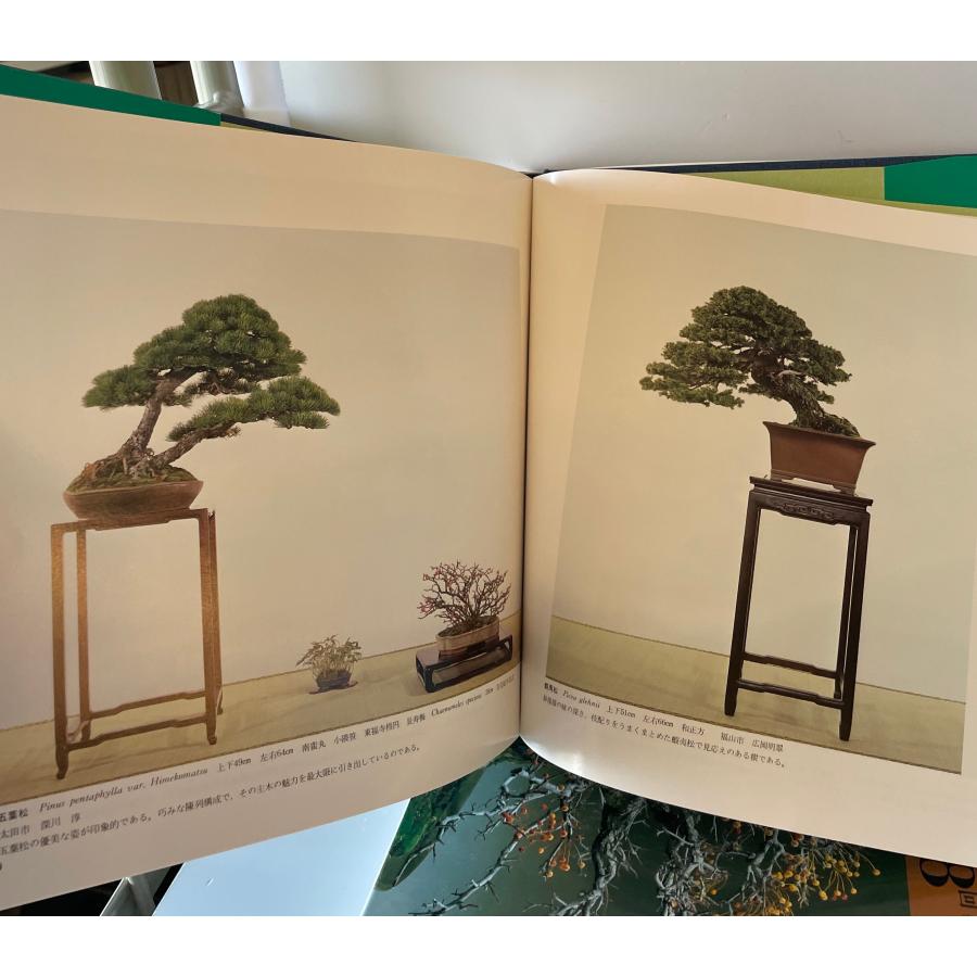 国風盆栽展　第46、48-59、67、70、75回の画像