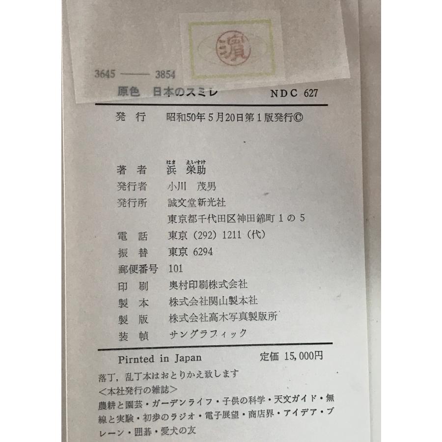 原色日本のスミレ : 株式会社Wit tech古書Upproヤフー店 - 通販