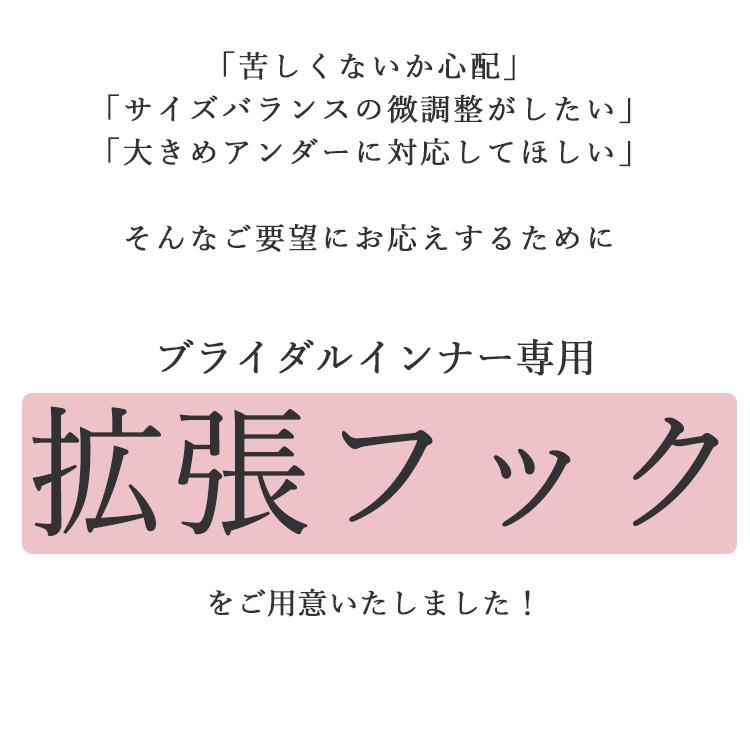 ブライダルインナー拡張フック(TZA07専用）[M便 1/7] | TAMURA | 02