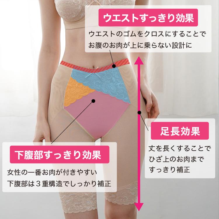 ロングガードル TPH17 TAMURA[M便 1/2] | TAMURA | 06