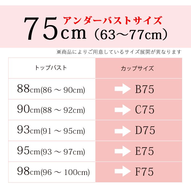TAMURA ブライダルインナー 3点セット 人気 安い 大きいサイズ TAMURA ブライダルインナー 3点セット 人気 安い 大きいサイズ