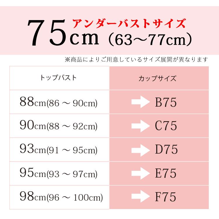 ブライダルインナー 3点セット 人気 安い お得 メール便無料 サイズ交換無料 レース付き ベアバックブラジャー フレアパンツ tzb06-tzr06[M便 5/7]｜ups｜16