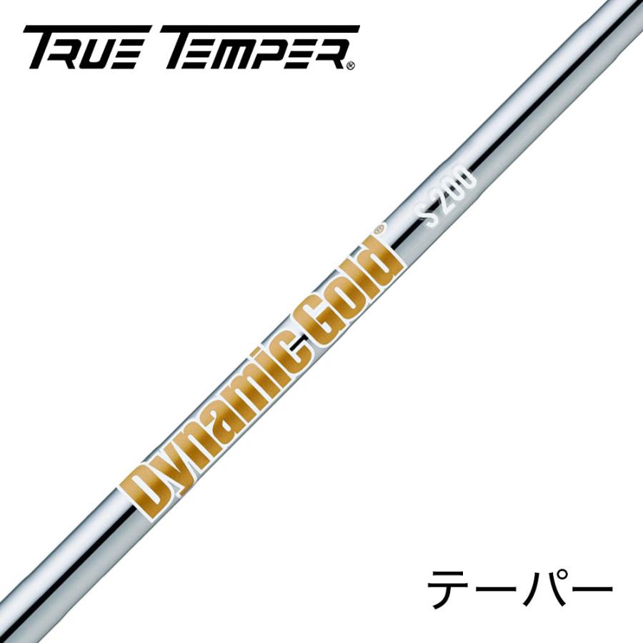 トゥルーテンパー ダイナミックゴールド スチール テーパー アイアン