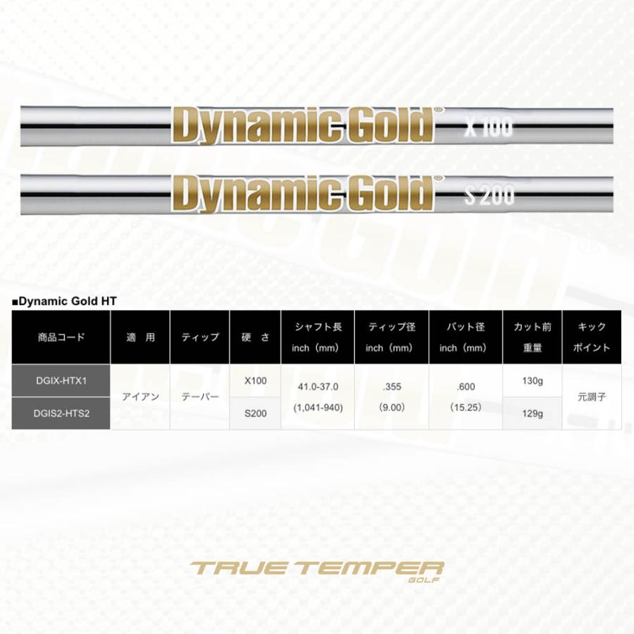 トゥルーテンパー ダイナミックゴールド スチール テーパー アイアン