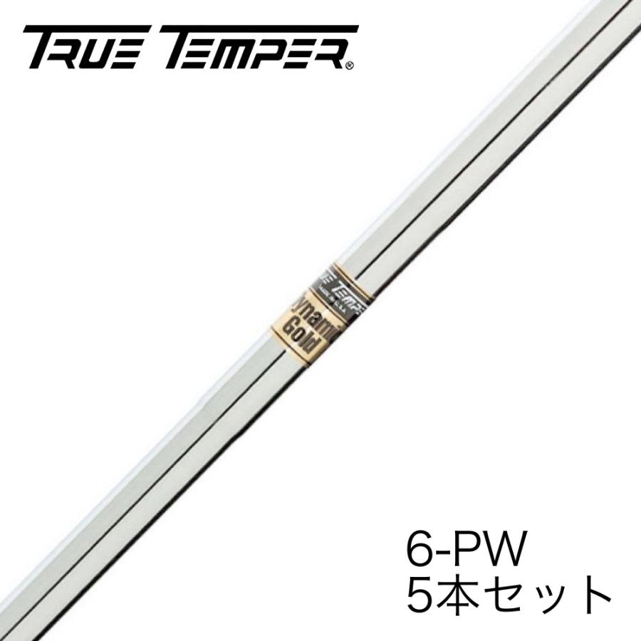 トゥルーテンパー ダイナミックゴールド アイアン用シャフト 6-PW 5本