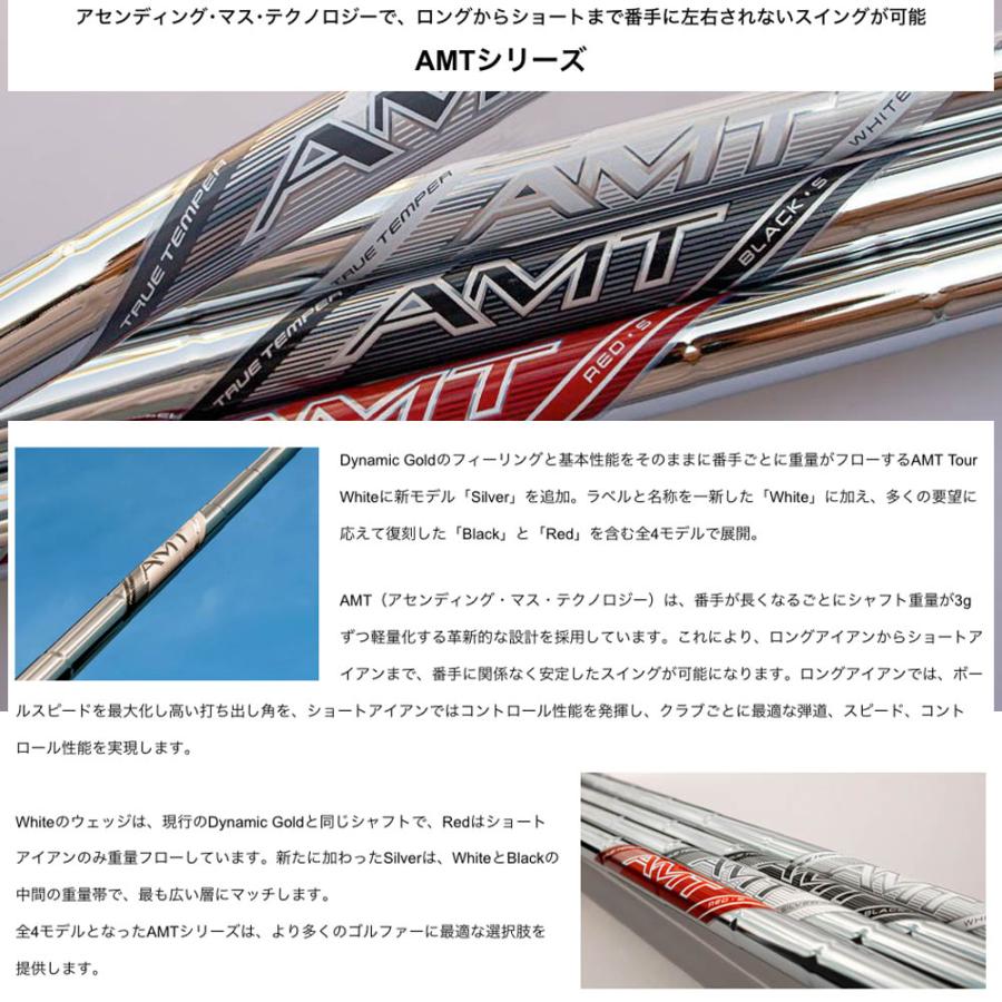 トゥルーテンパー ダイナミックゴールド Dynamic Gold AMT WHITE