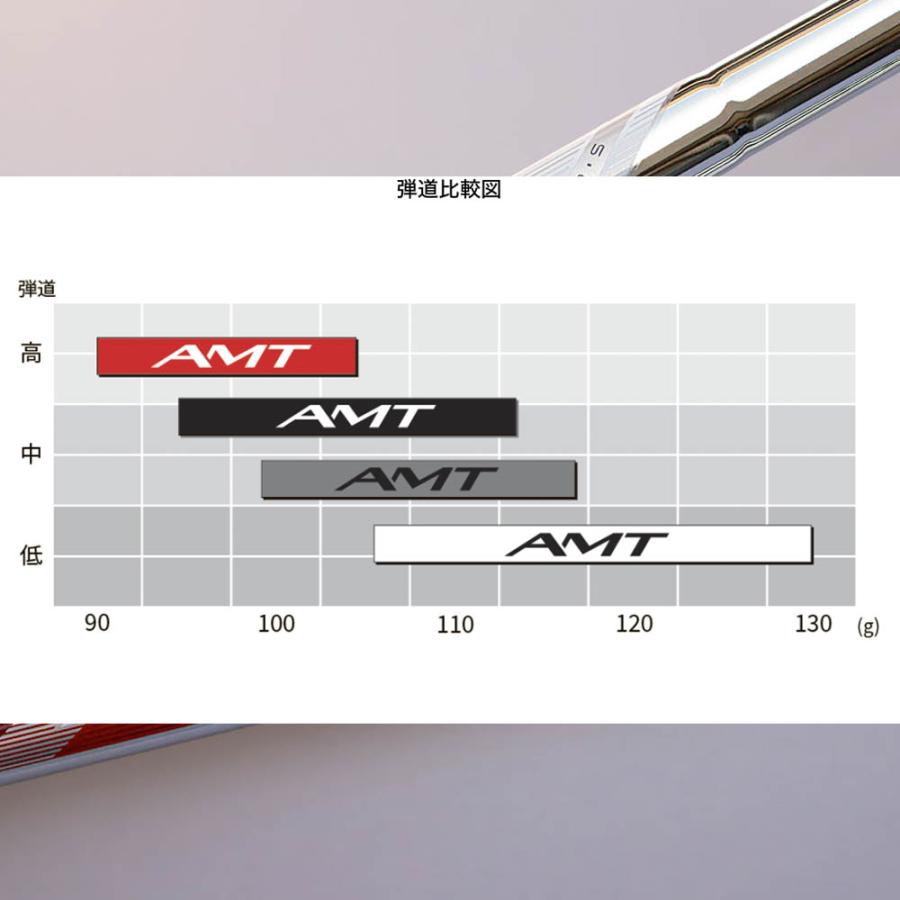 トゥルーテンパー ダイナミックゴールド Dynamic Gold AMT WHITE