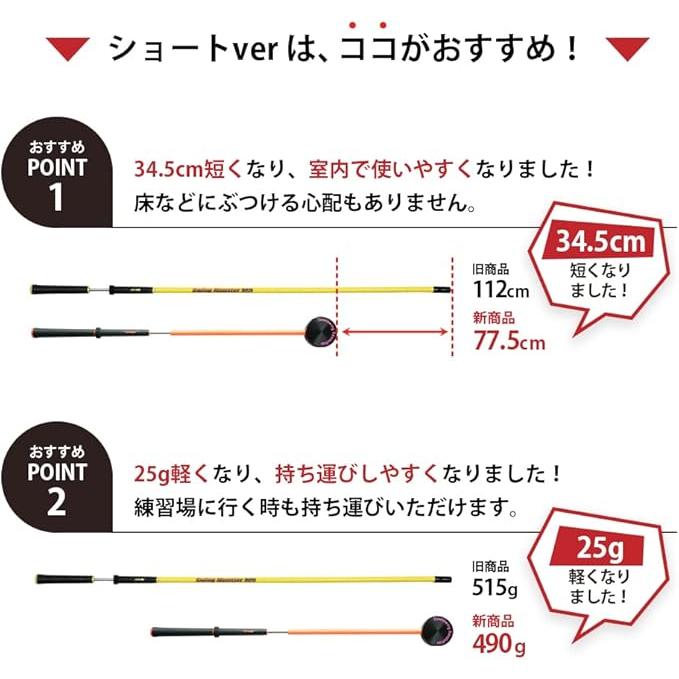 新製品 スイングモンスター 725 TYPE H ショートバージョン 練習器具