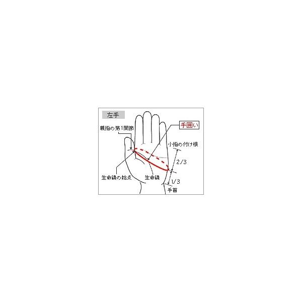 ◆◆送料無料 メール便発送 ＜ミズノ＞ MIZUNO 手袋／強革0.8(キョウカク)／左手(ゴルフ)[メンズ] 5MJML011 (01：ホワイト) ゴルフ｜upstairs｜05