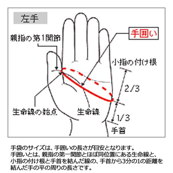 ◆◆送料無料 メール便発送 ＜ミズノ＞ MIZUNO メンズ W-GRIP ダブルグリップ(右手用) ゴルフ 手袋 5MJMR401｜upstairs｜06